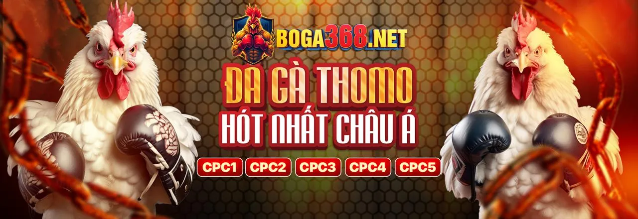 Đá Gà Trực Tuyến hcm666 nổ hũ